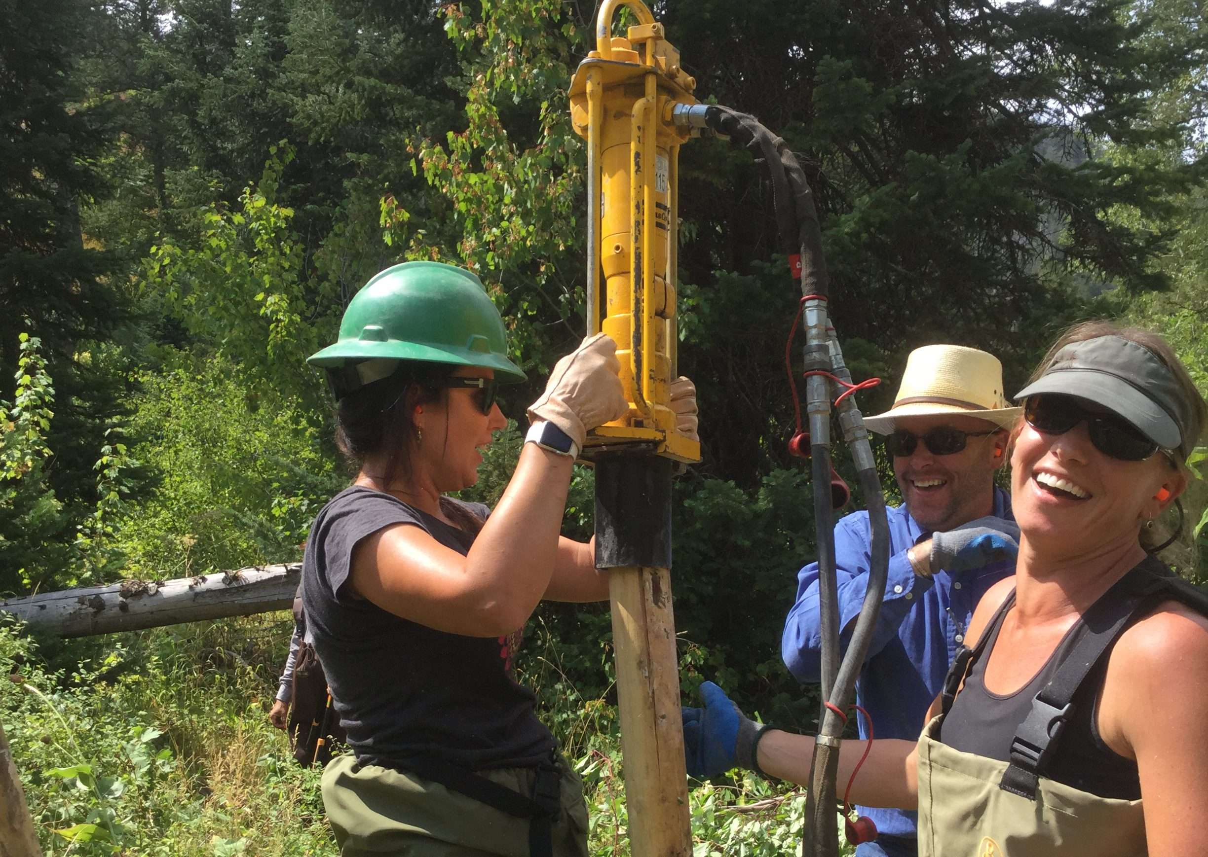 cheap and cheerful restoration