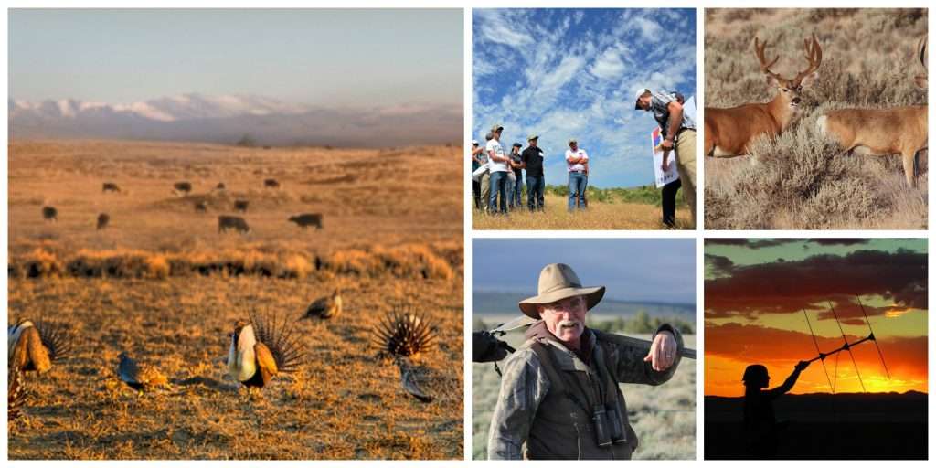 Our conservation practices benefit the sagebrush ecosystem, as well as the Western way of life. Since 2010, we’ve enrolled 1,300+ ranchers in practices that conserve 5+ million acres. And we’re not slowing down.