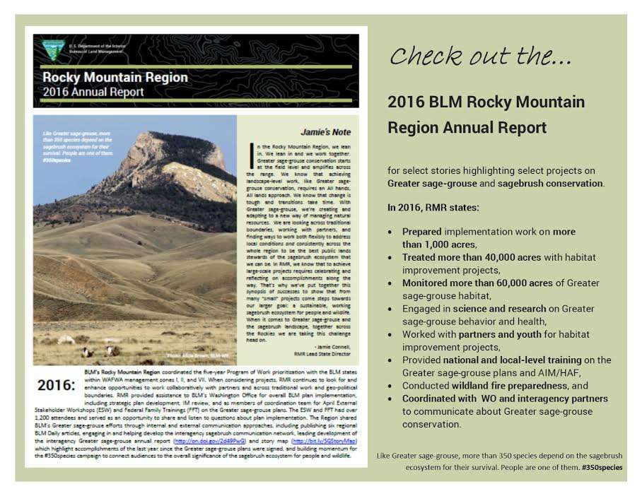 rmr-blm-report