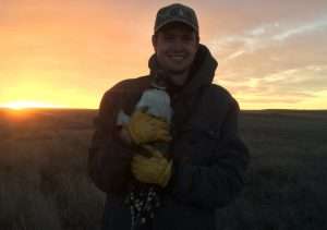 sunset-sage-grouse-michael-brown