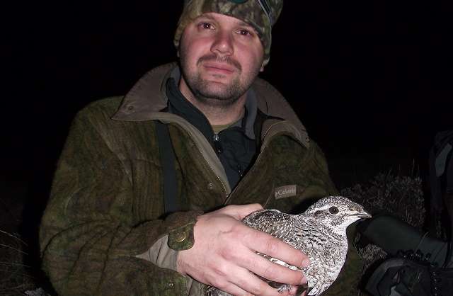 John Severson, the lead author on the new sage grouse nesting study, holds a tagged hen in Oregon.