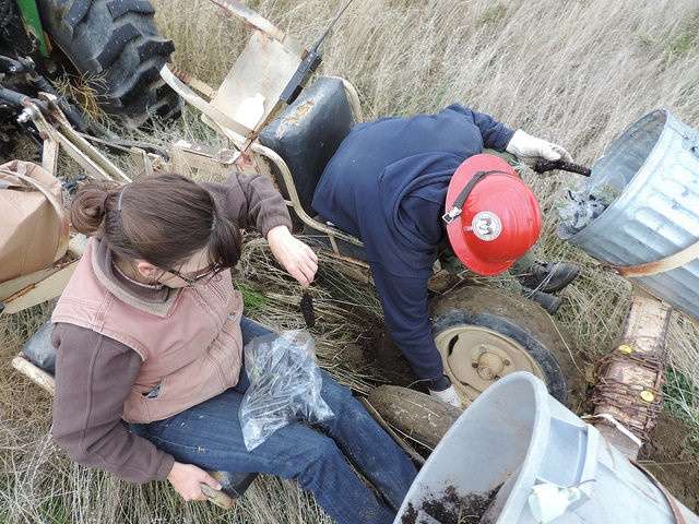 In central Montana, BLM hosted a sagebrush planting project to test how best to restore burned areas or sagebrush converted to cropland.