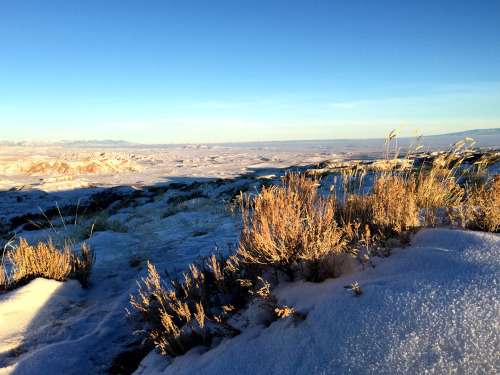 Pockets form in the snow around sagebrush plants, creating shelter for small animals during harsh winter weather conditions.