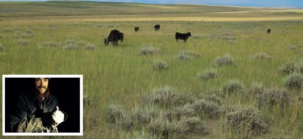 sagebrush conservation