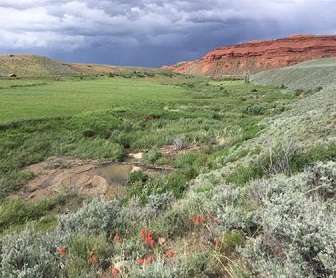 The NRCS-led Sage Grouse Initiative is helping landowners conserve wet habitats in sagebrush country to benefit working lands and wildlife.