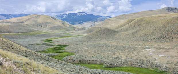 Sagebrush landscape including a green riparian ribbon in Montana. Credit: iStock