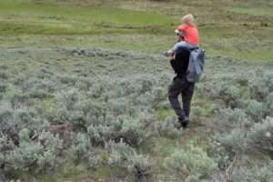 Mesic habitat provides valuable "Emerald Isles" in the sagebrush desert. Photo by Brianna Randall.