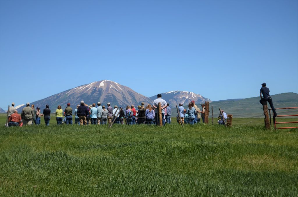 SGI workshop participants listen to conservation practices put in place on the Allen Ranch near Gunnison. Many local ranchers are active leaders who steward the high-elevation rangelands to benefit sage grouse and their agricultural operations. Photo: Brianna Randall