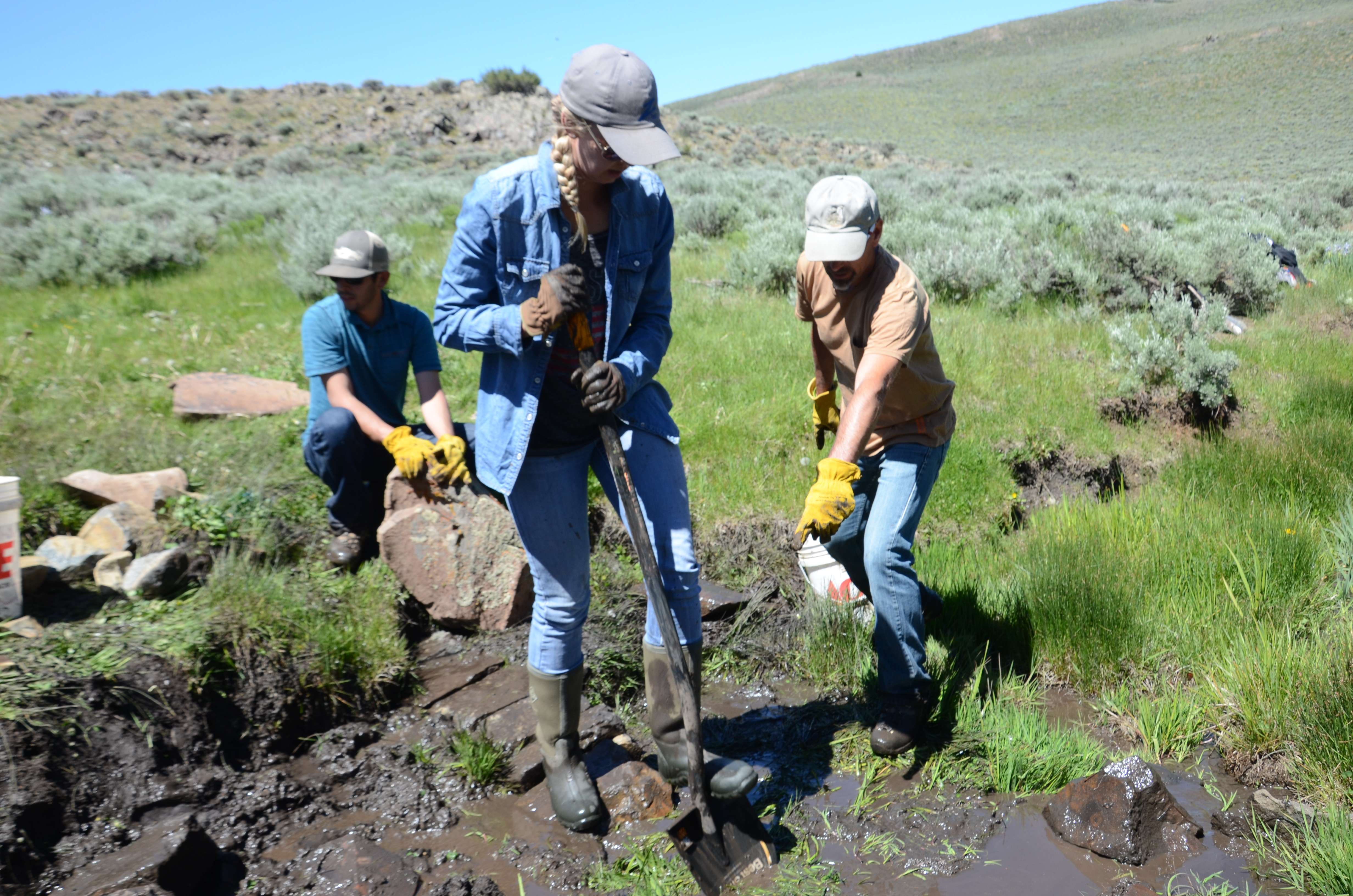 Volunteers participated in a hands-on training day to learn how to install simple rock structures that improve natural water storage and restore wet habitat. Photo: Brianna Randall