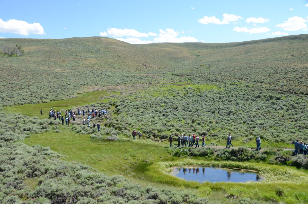 Wet meadows in sagebrush country provide vital forage for livestock, sage grouse, and other wildlife. SGI workshop participants learned how partners in Colorado worked together to restore this "Emerald Isle" near Gunnison.