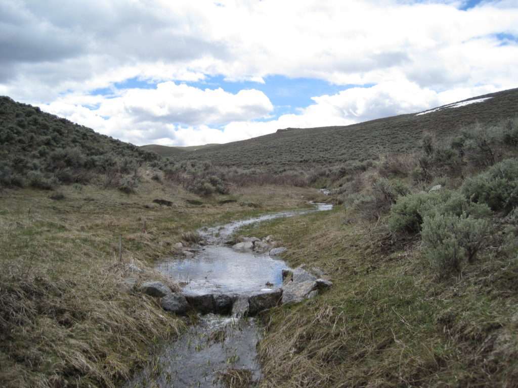 Simple rock structures help store water in the soil, improving forage and late-season water availability in sagebrush rangelands. Photo: Andrew Breibart