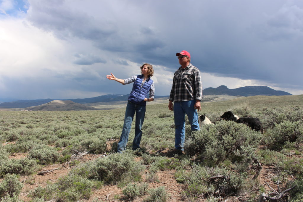 Liz With of the NRCS works with ranchers like Greg Peterson, pictured here, to conserve wet meadows and other important rangeland. Photo: Jodi Stemler