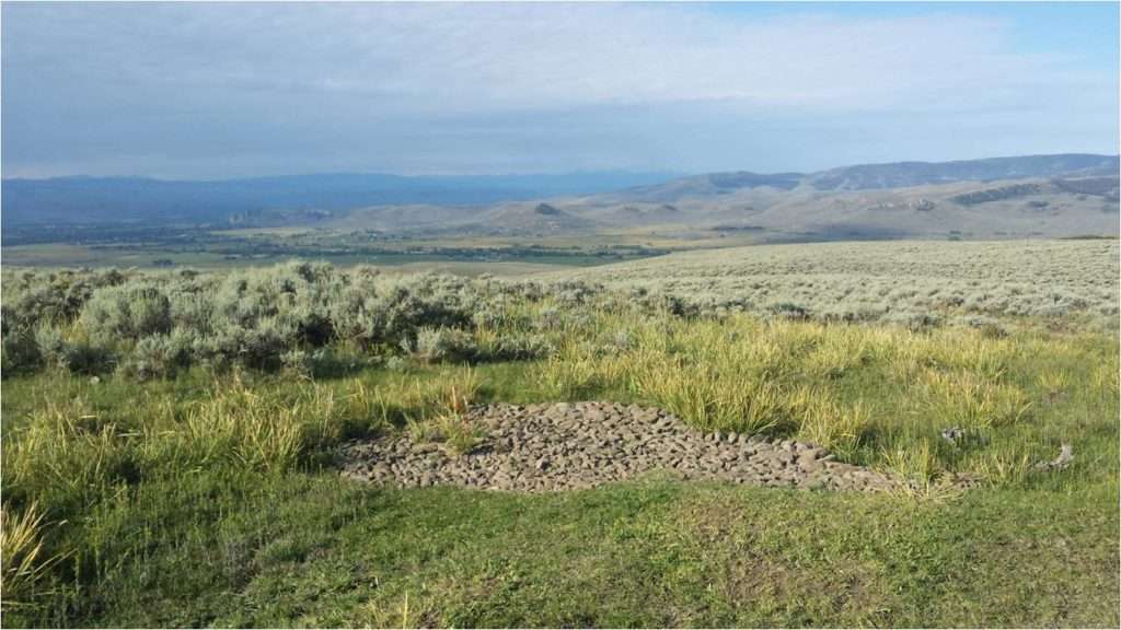 Wet meadow restoration structure at Flat Top in Gunnison Basin. Photo by Shawn Conner. 