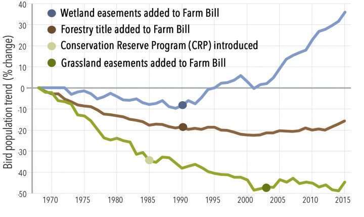 Dots on this graph indicate start dates for key Farm Bill conservation programs, showing the change in populations of wetland, forest, and grassland birds after these programs were implemented. For more details on this graph, see Methods.