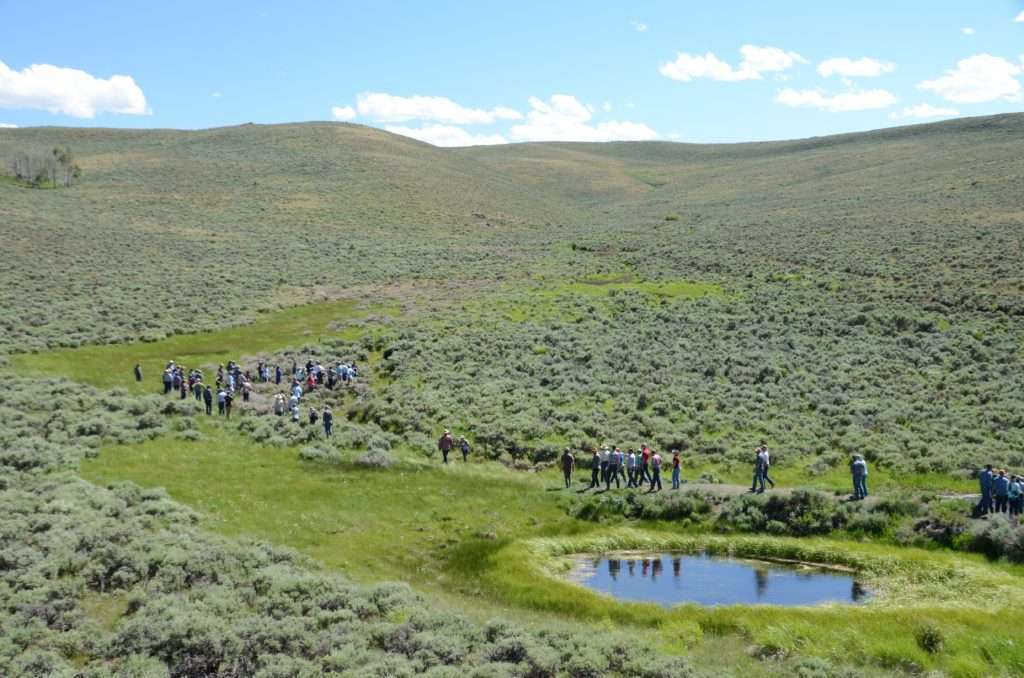 wide open sagebrush with mesic habitat