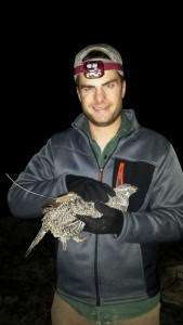 Andrew Olsen coordinates key research on how conifer removal impacts sage grouse populations.
