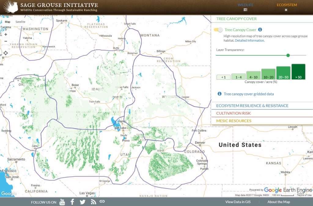 Tree canopy cover with management zones displayed.