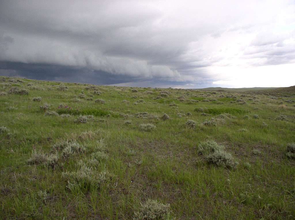 Beautifully protected, land like this has been designated as part of Montana’s core area for ACEP over the next several years.