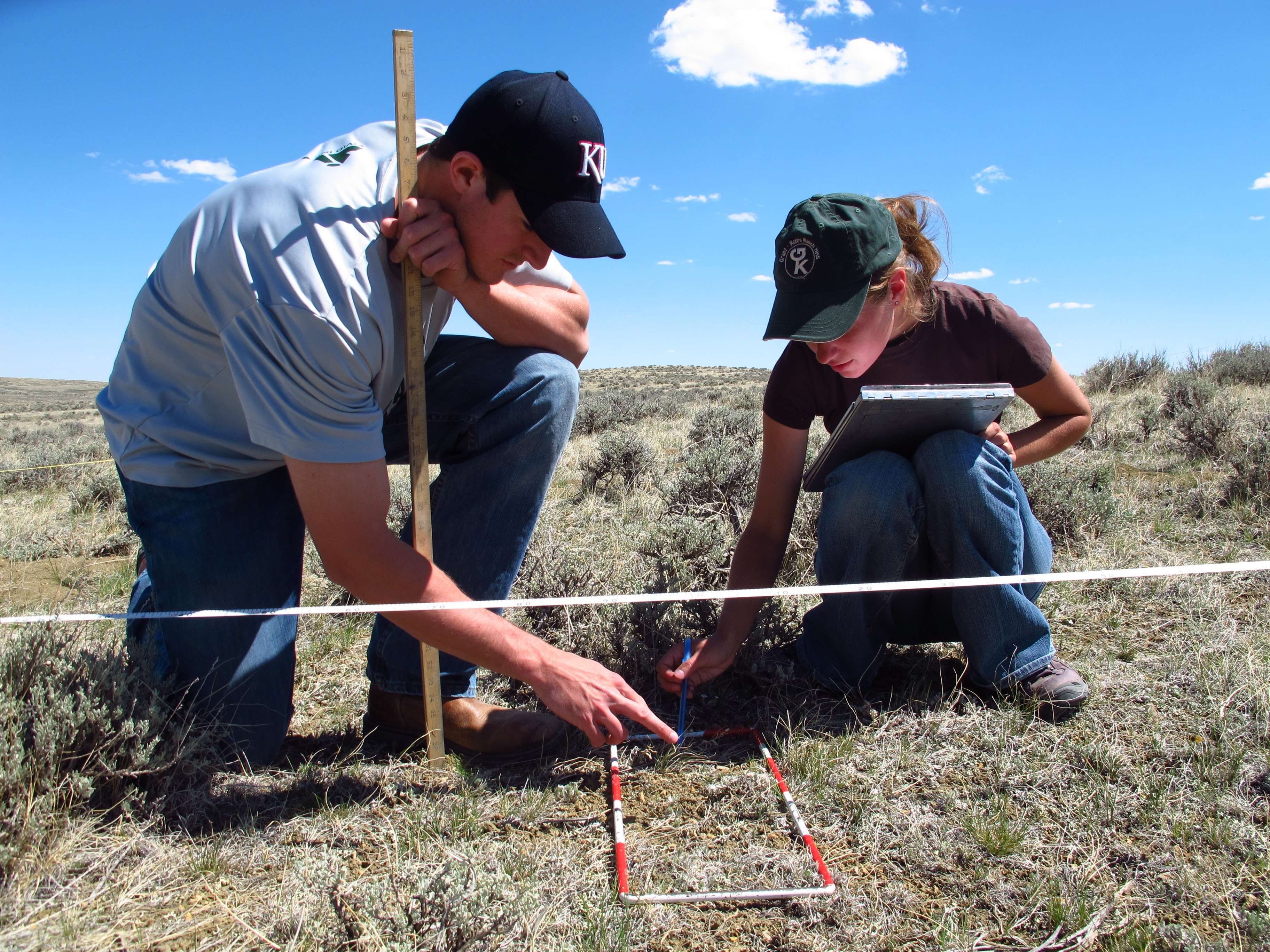 New findings show that it’s more accurate to measure grass height for all nests – failed or hatched – at the predicted hatch date. Photo: Joe Smith