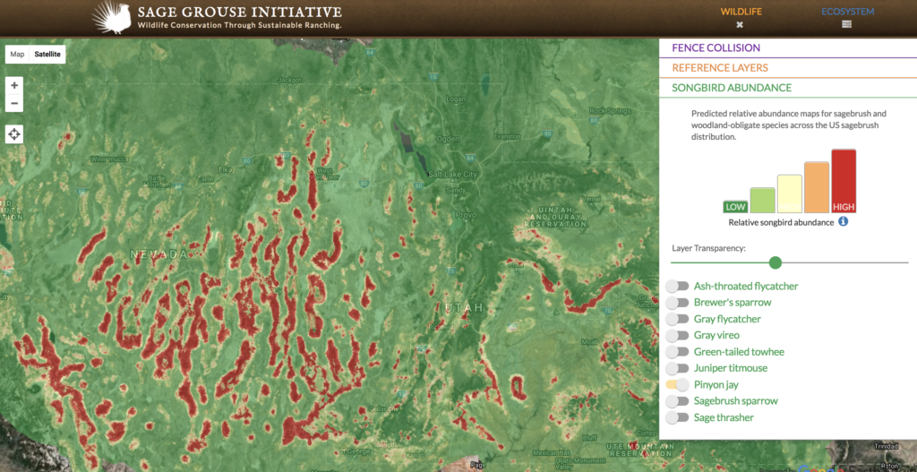 The new Web App layer shows the abundance of 9 songbird species across the West. This zoomed-in screenshot shows pinyon jay abundance in Nevada and Utah.
