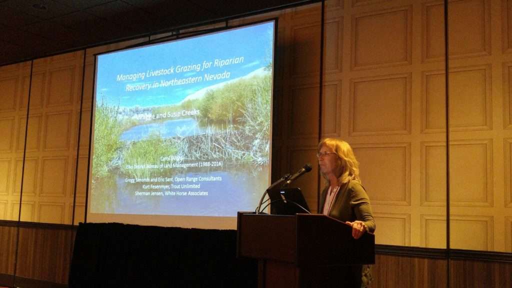 Carol Evans, retired employee with the BLM, shows how managing livestock grazing improves riparian areas