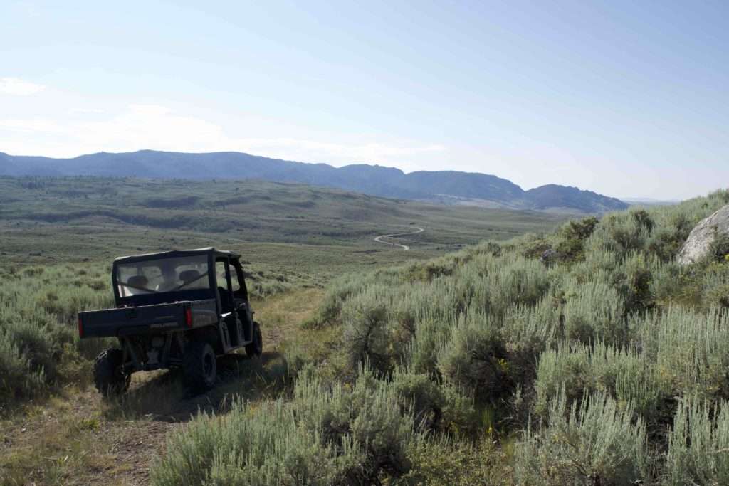 Morris worked with the Sage Grouse Initiative and other conservation partners to treat cheatgrass along roads and aerially.