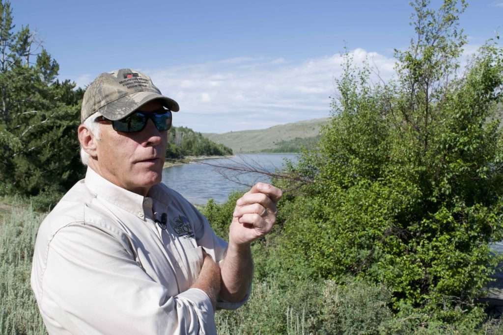Photo: Brianna Randall Wet green habitats, like this lake on Mountain Springs Ranch, provide critical food and water resources for sage grouse and other western wildlife.