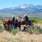 The Sceirine family has run a successful ranching business for three generations. Photo: ESLT