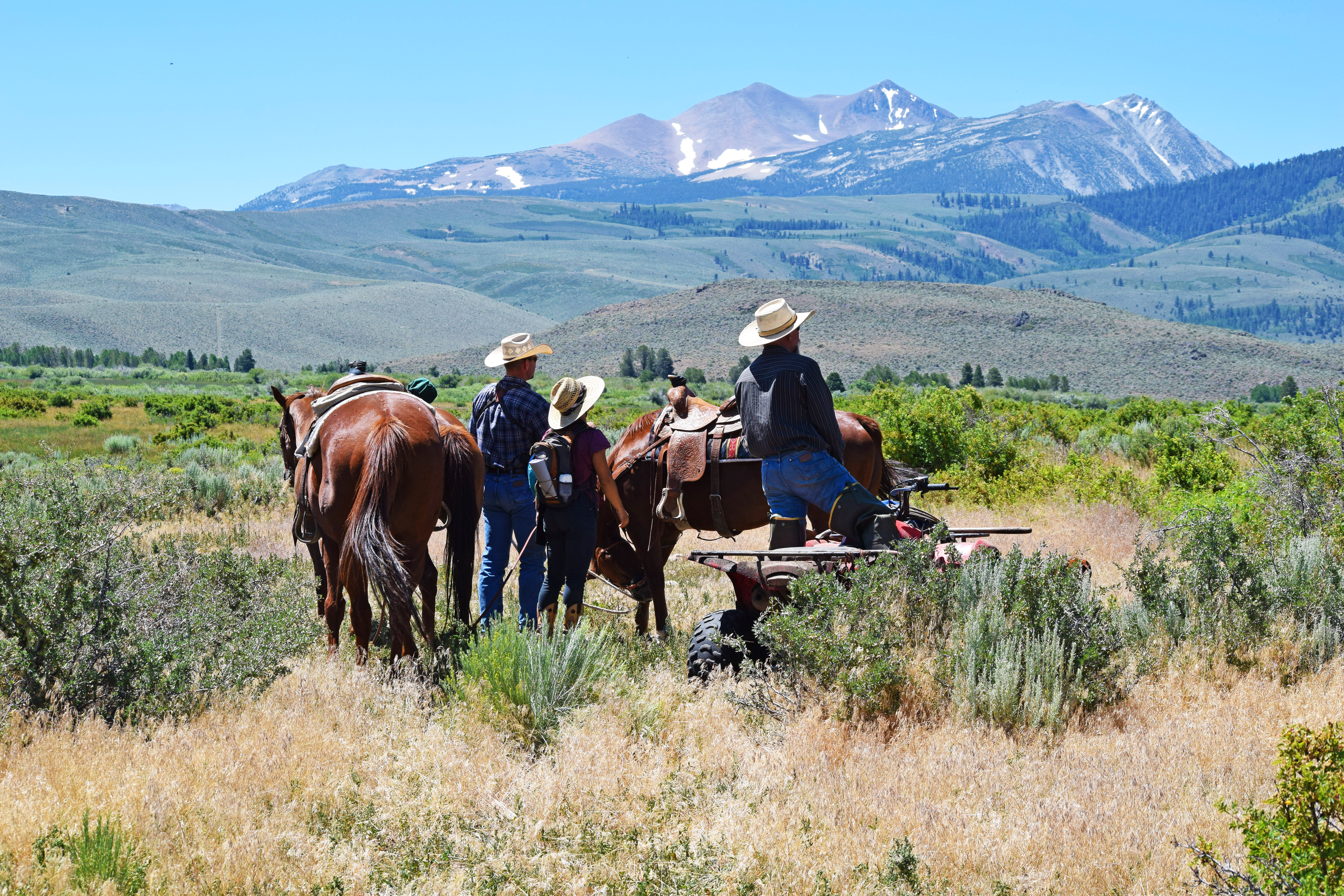 The Sceirine family has run a successful ranching business for three generations. Photo: ESLT