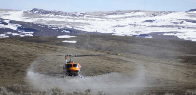 herbicides for cheatgrass