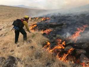 Wildfires are now more frequent and more intense in sagebrush country, largely due to the invasion of non-native annual grasses. Photo: Winnemucca BLM