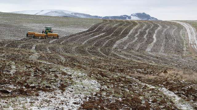 Partners worked together to ensure restoration treatments were seamless across land ownership boundaries after the Soda Fire. Photo: Larry Moore, BLM