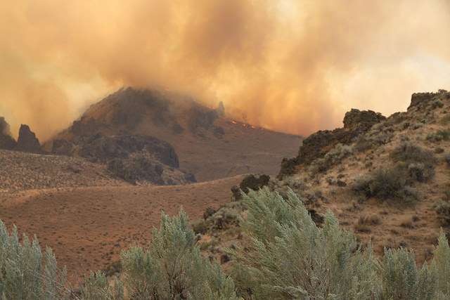 The Soda Fire burned nearly 280,000 acres of sagebrush country in Idaho and Oregon. Photo: BLM Idaho