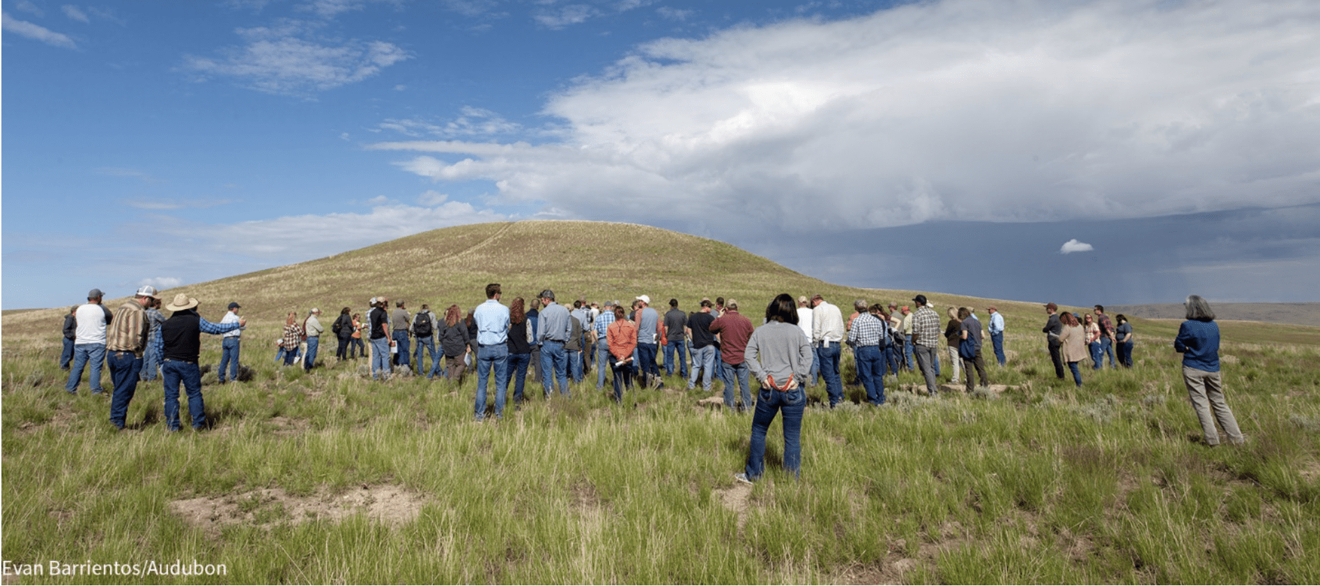 BLM Land Soda Fire Restoration stop -BLM’s public land work with ranchers, agency, and non-government partners pays dividends in successful cross boundary restoration