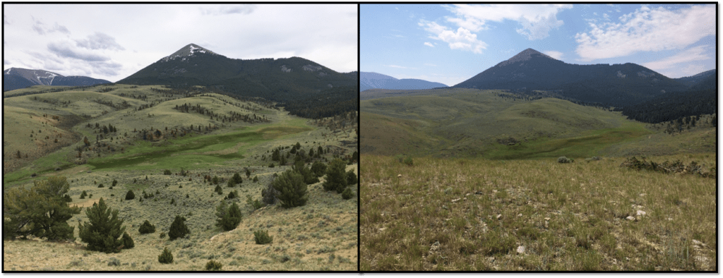 Before (right) and after (left) partners began working to restore mesic habitat and remove encroaching conifers. 