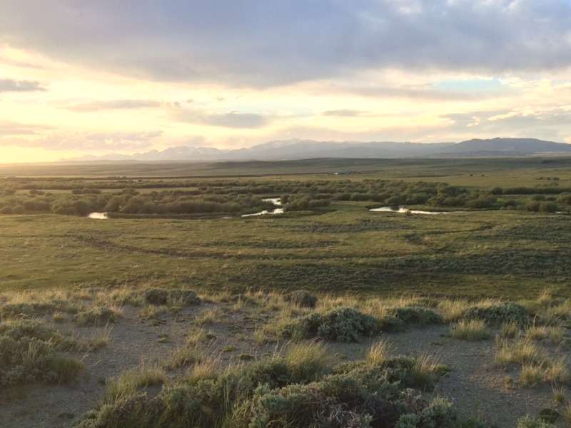 Wet meadows that abut sagebrush uplands provide prime habitat for wildlife. Photo: Archie Chant.