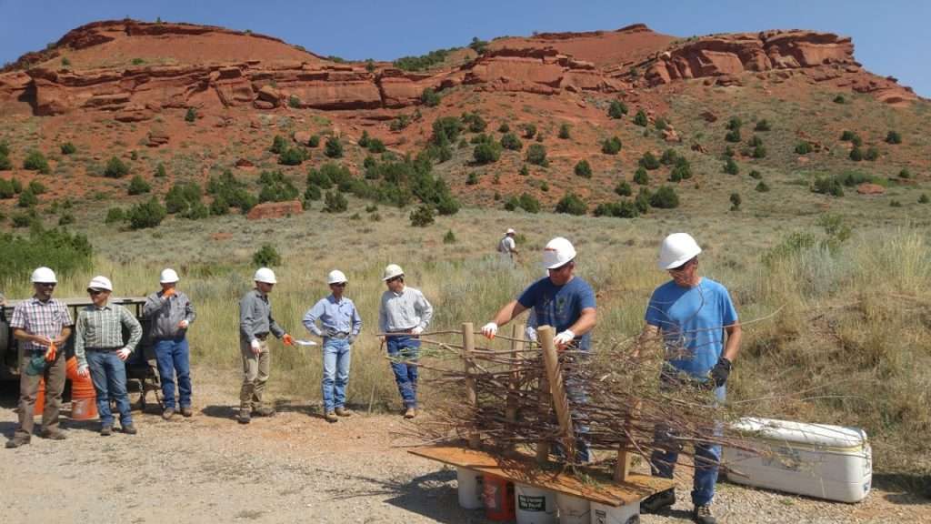 Workshop participants practice making a beaver dam analog structure in Lander, Wyoming before heading into the stream. Photo: Jeremy Maestas