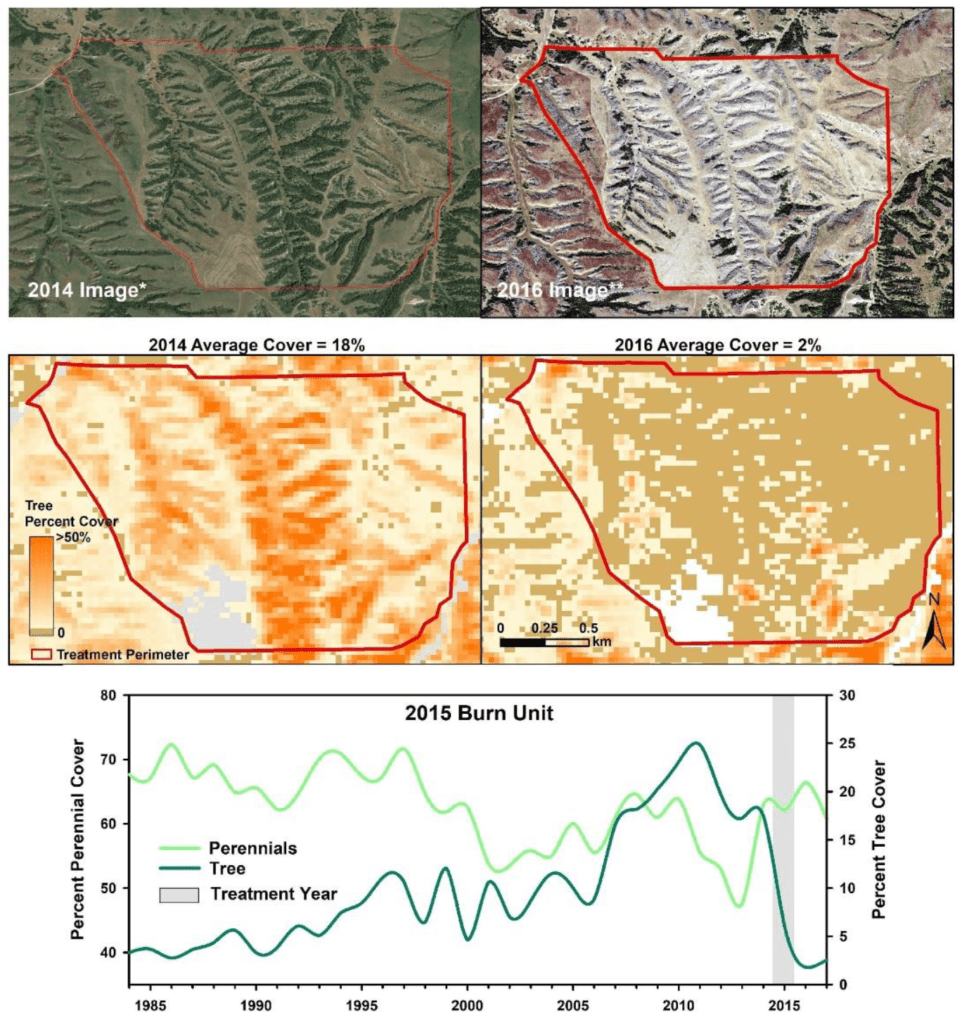 Top: Aerial photography shows tree cover in the Loess Canyons of Nebraska in 2014 (Image: Google Earth) and 2016 (Image: USDA NAIP). Middle: RAP-produced maps calculating the percent cover of trees pre- and post-burn within the treatment boundary (red polygon). Lower: Time series of mean perennial forb and grass as well as tree cover from 1984 to 2017 within the burn boundary (gray bar in 2015 denotes treatment year).