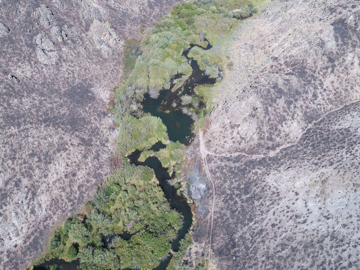 Beaver ponds provide a refuge for fish and wildlife in a burned landscape near Hailey, Idaho. Photo: Joe Wheaton
