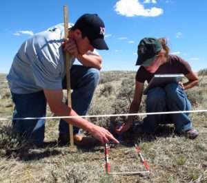 Monitoring range plants is critical for ensuring grazing lands remain productive ecosystems and profitable livestock operations.