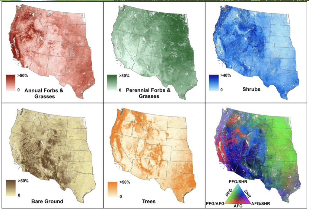 Maps produced by the Rangeland Analysis Platform show the percent vegetation cover estimates of five different types of ground cover, as well as a composite map for three vegetation classes.