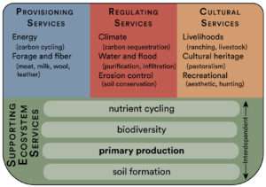 Figure_1_EcosystemServices