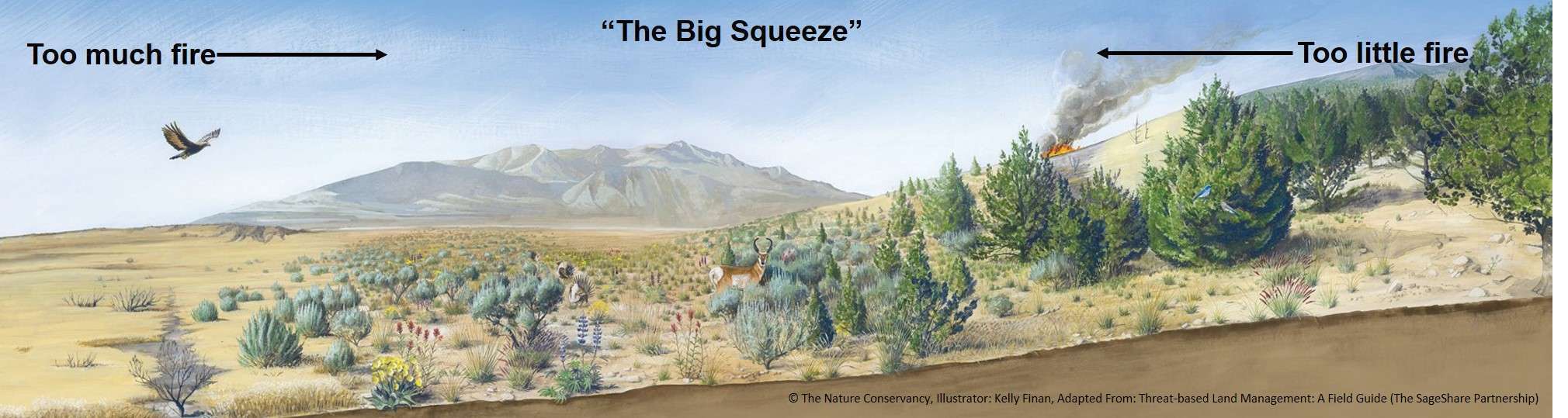 The big squeeze