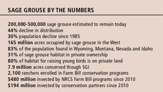 Sage Grouse By the Numbers