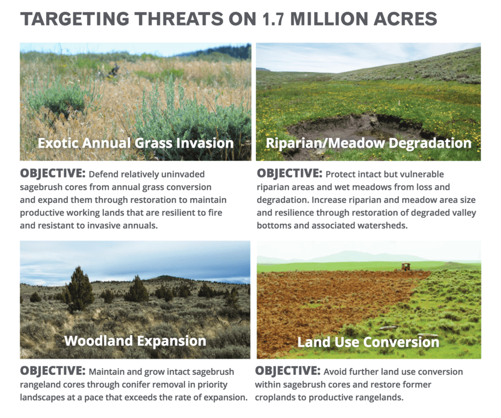 Sagebrush Threats